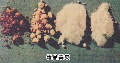 �����ر�Ԥ��